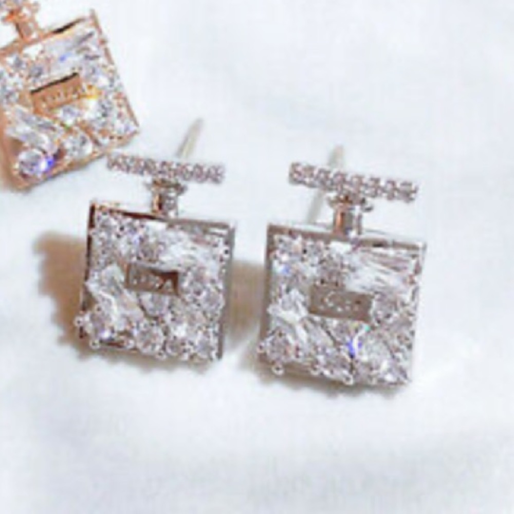 New Sterling silver luxury earrings